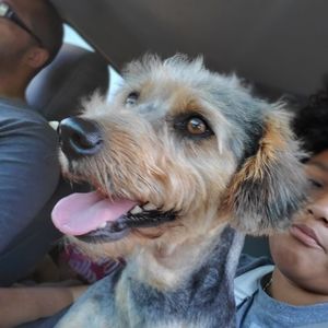 Meet your Posher, Alexander